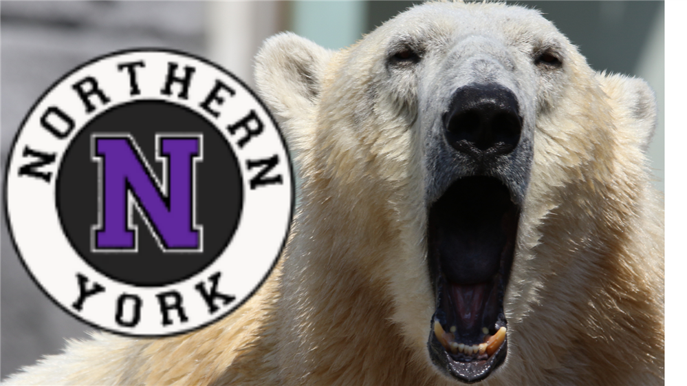 Northern Polar Bear with logo 